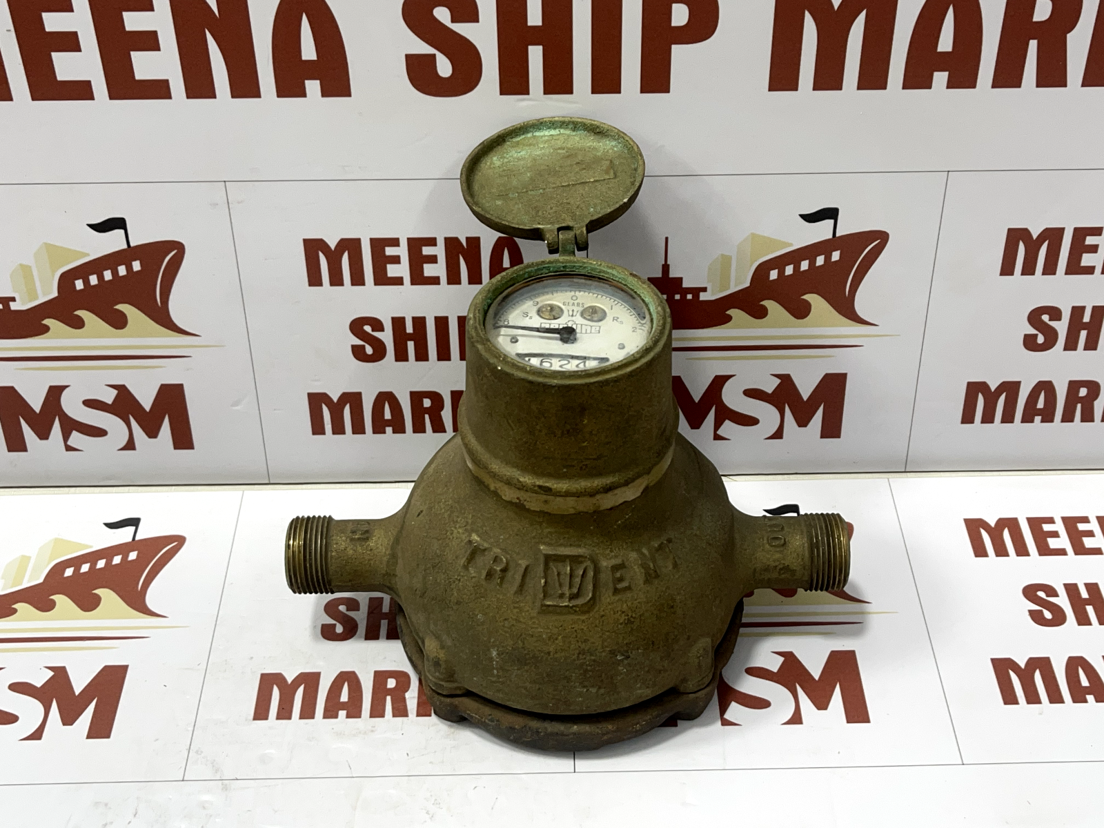 Neptune Water Meter Direct Reading - Image 2