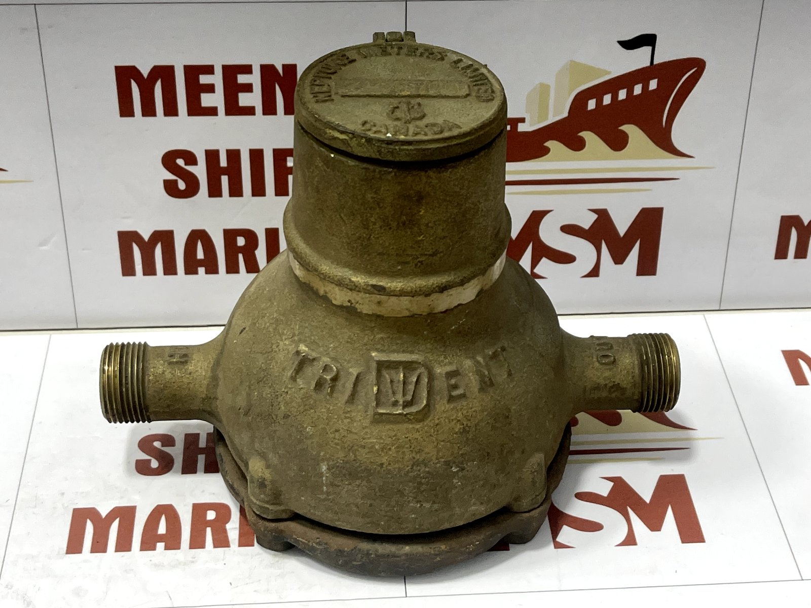 Neptune Water Meter Direct Reading - Image 4