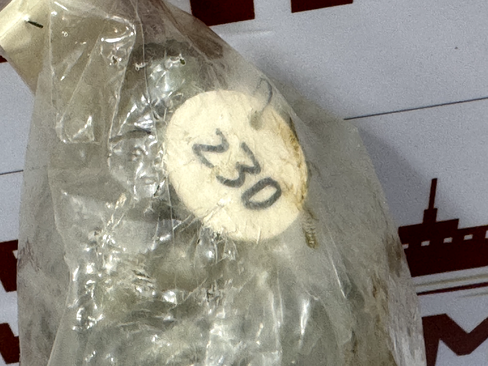 NABCO GR-22M, REDUCING VALVE - Image 4