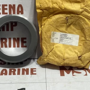 Cameron 630690-90 Rev.02 Gate valve