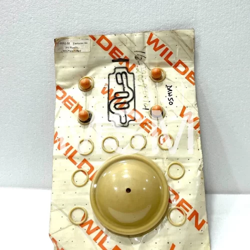 Wilden 01-9552-58 Repair Kit